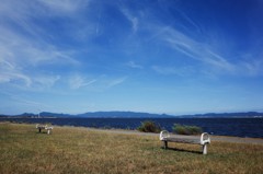 海の見える公園