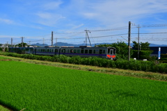 たんぼと青い空