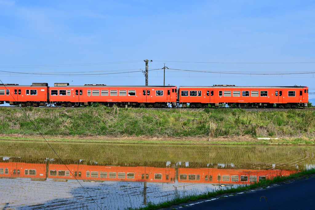 田んぼと電車