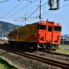 タラコ電車