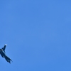 F2 その2