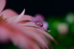 雫
