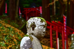 この苔、目に来るよね。