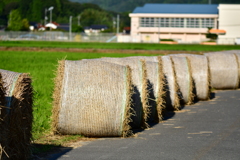 稲藁ロール