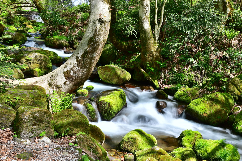 奥大山の天然水