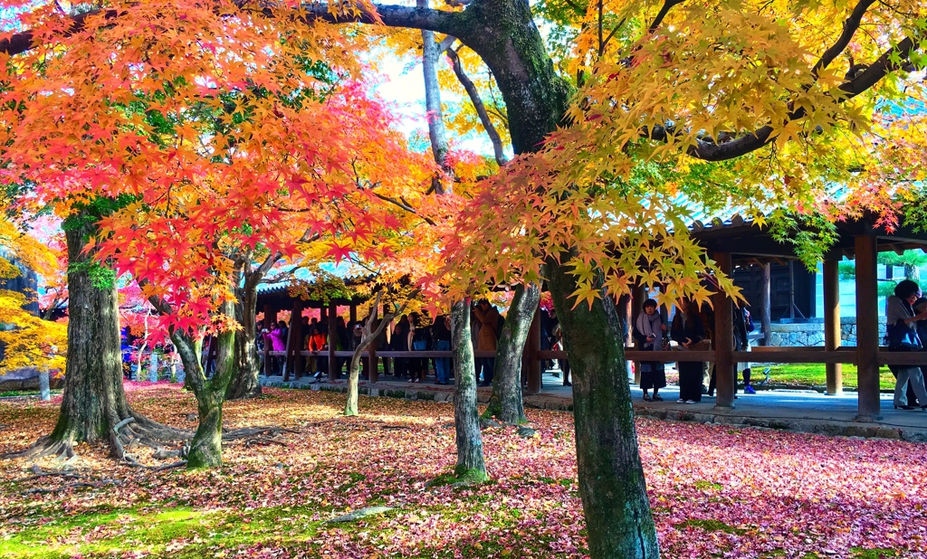 96280CE3-0CFB-4F4C-B93B-271A560F06CE