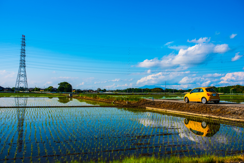 reflection　雲と黄色