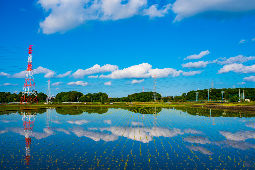 reflection　青田