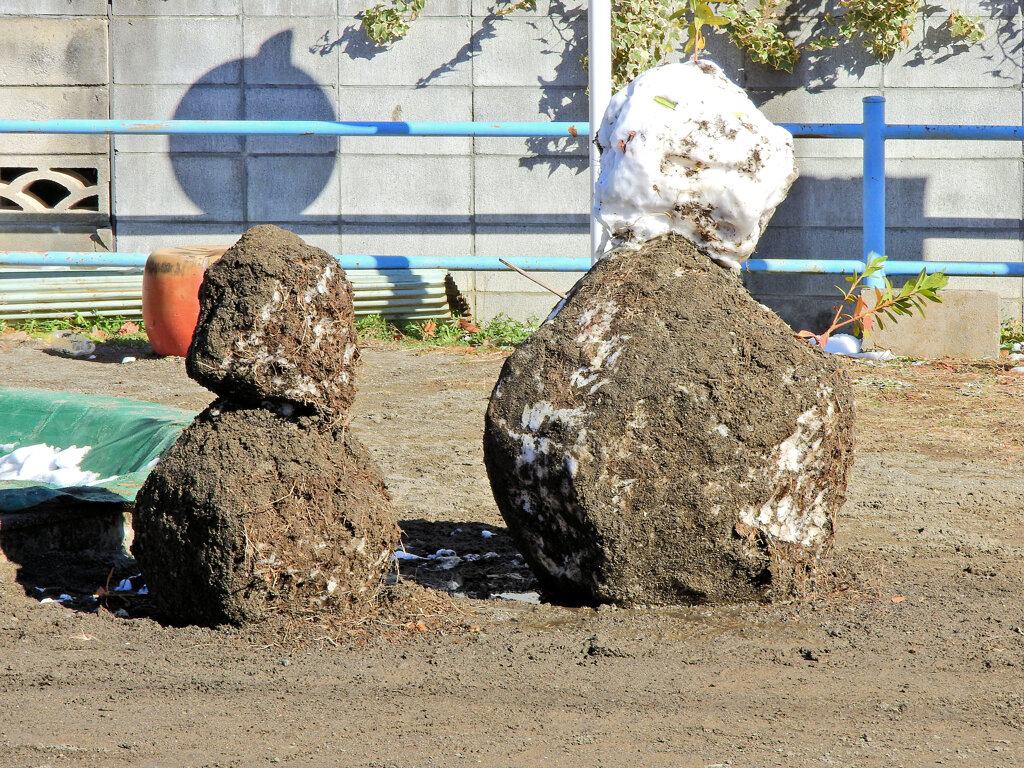 泥だらけの雪だるま