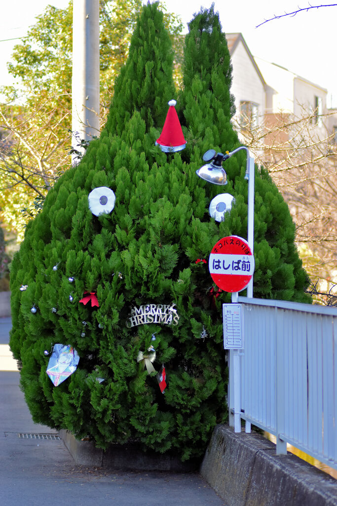 二ヶ領用水路で　トトロ　クリスマス装飾