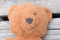 僕は御主人様に捨てられたのかな？　3/4