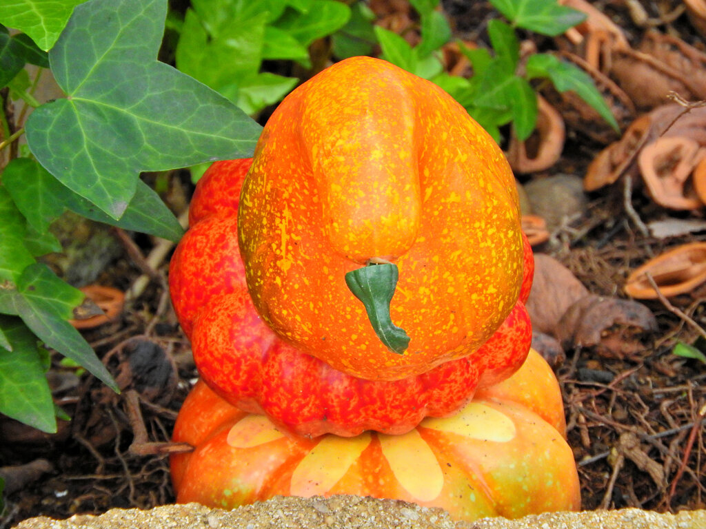 ハロウイン　グッツ　Shopの玄関で　６