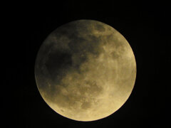 今宵のお月様・ビーバーMoon４