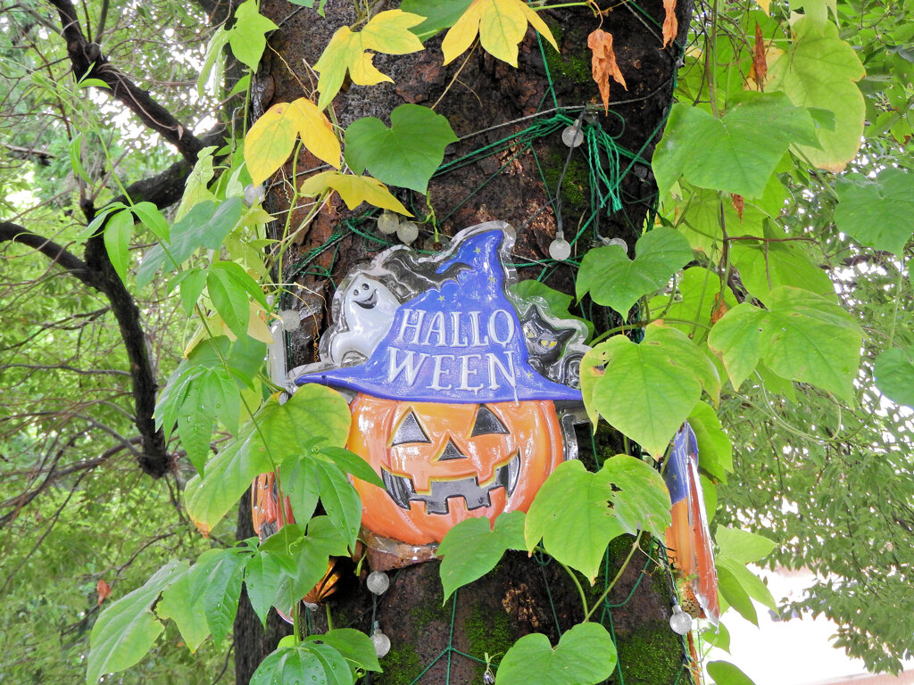 ハロウィン　１０