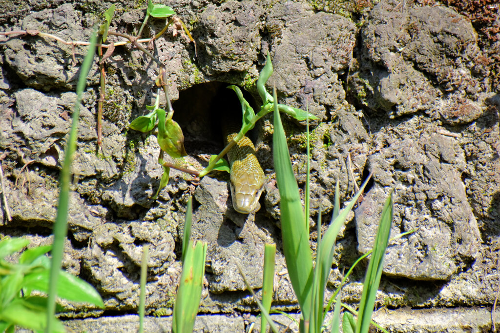 ヘビーにつき閲覧注意！　