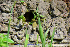 ヘビーにつき閲覧注意！　