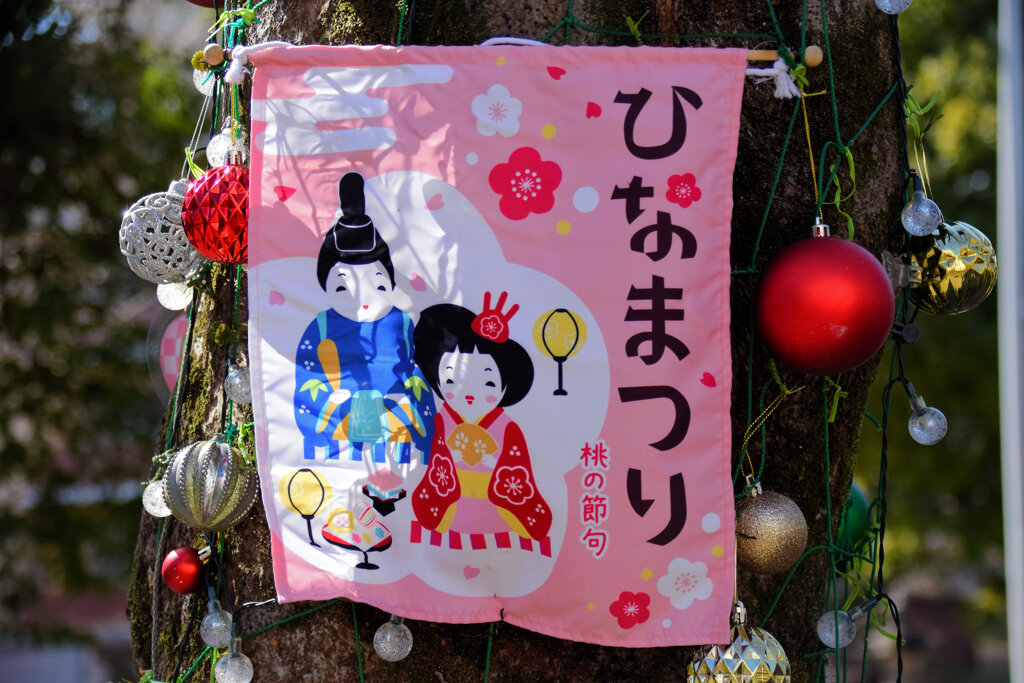 二ヶ領用水路・・武蔵小杉付近・・の木　ひな祭り装飾　２/2