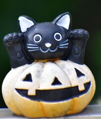 ハロウィーン　ヽ(=^ω^=)丿にゃー♪