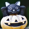ハロウィーン　ヽ(=^ω^=)丿にゃー♪