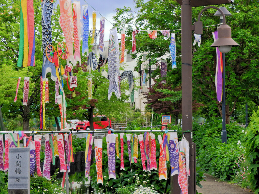 江川せせらぎ遊歩道で鯉のぼり