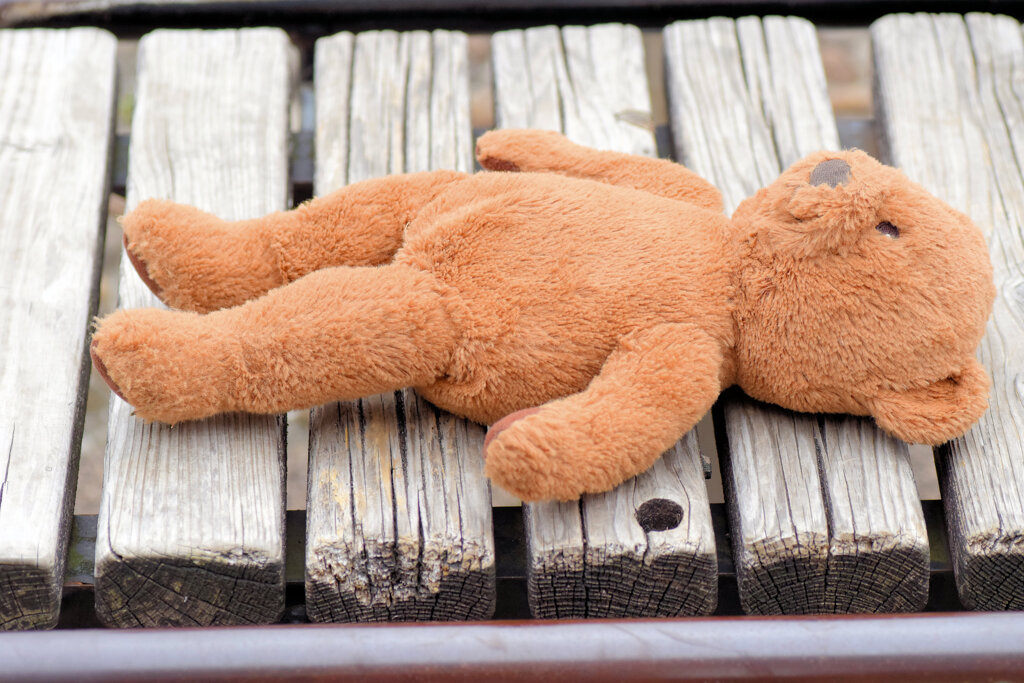 僕は御主人様に捨てられたのかな？　1/4