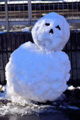 昨日の積雪で近所の子供達の作品