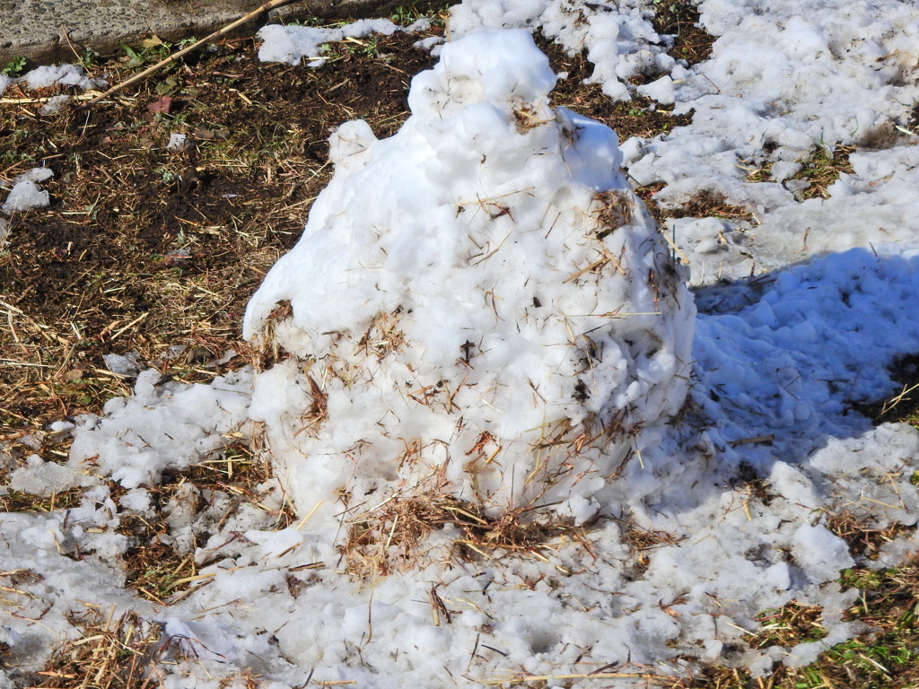 未完成の雪だるま