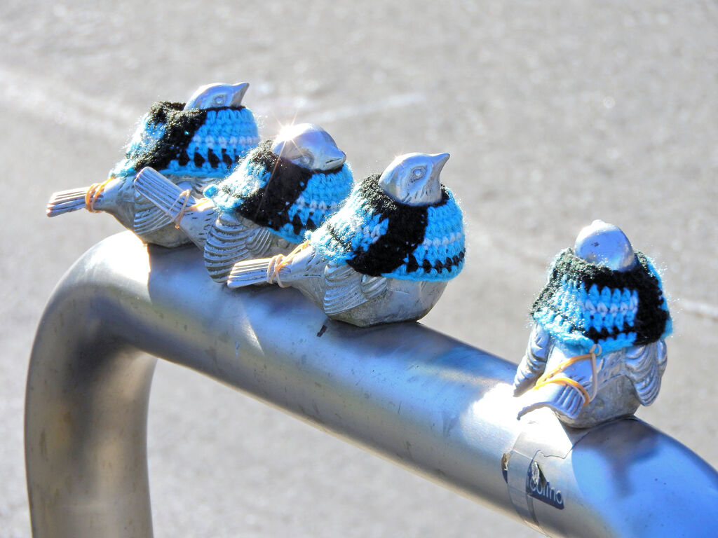 北風ピューピュー　服を着せて貰ったチュン⌒(ё)⌒　２