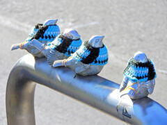 北風ピューピュー　服を着せて貰ったチュン⌒(ё)⌒　２