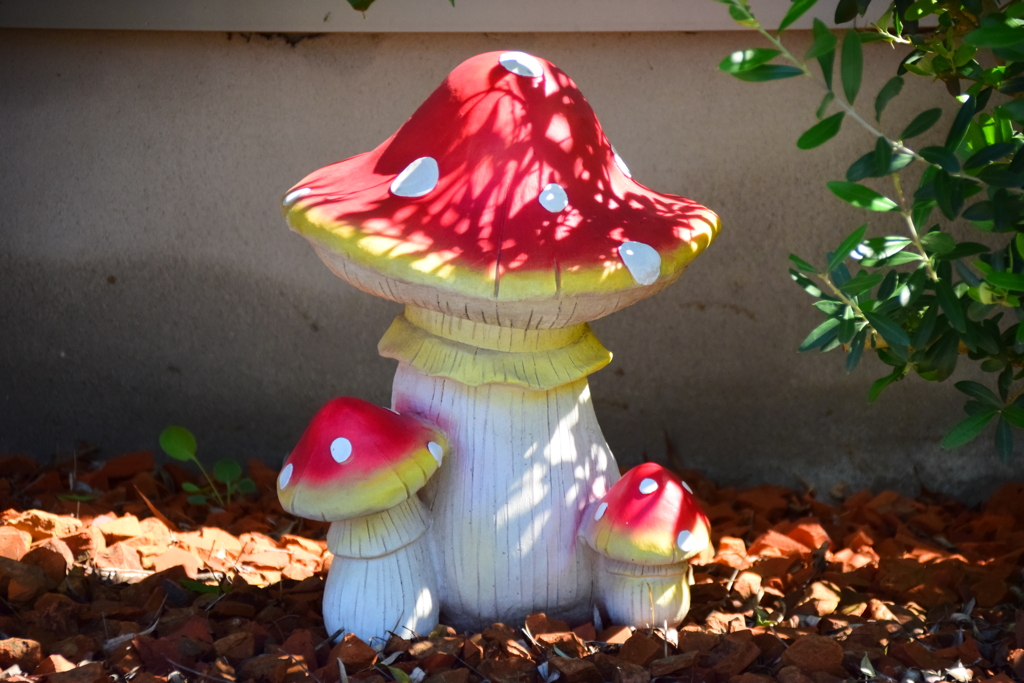 美味しそうなキノコ　１