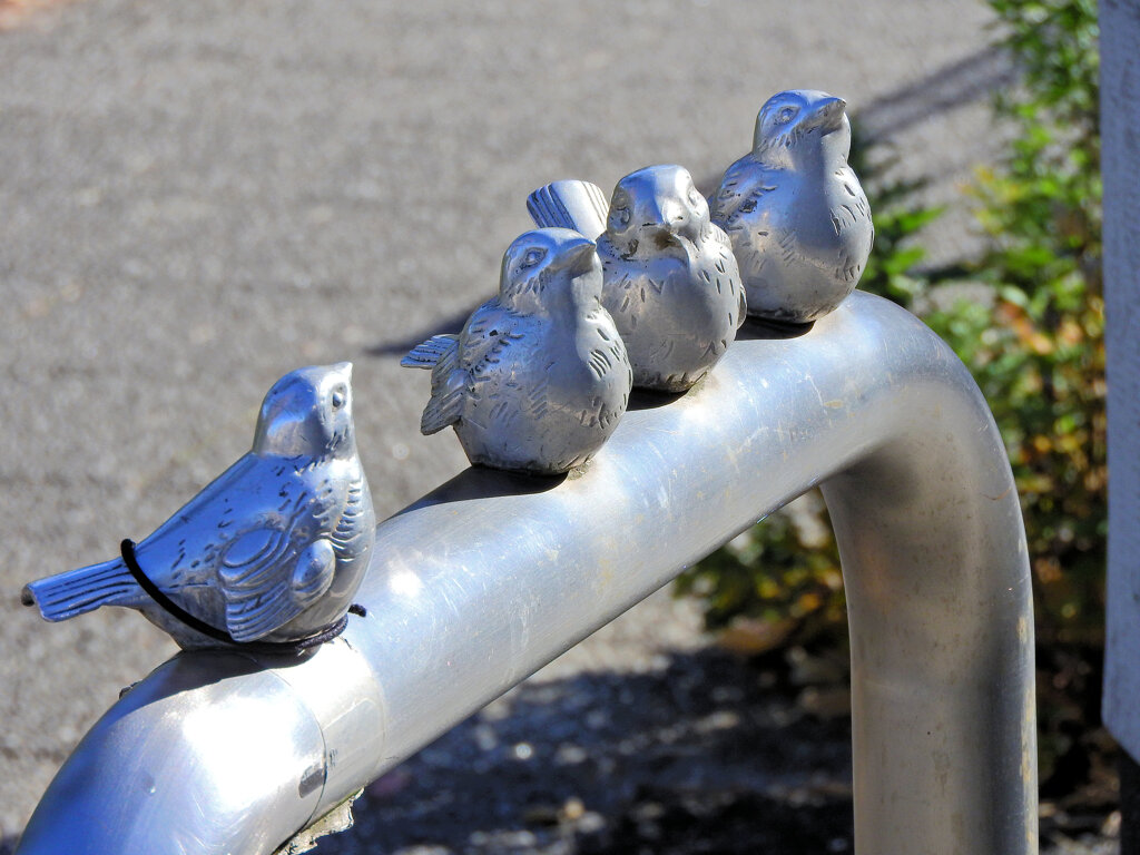 寒風にさらされて((´д｀)) ぶるぶる・・・さむ~~　２