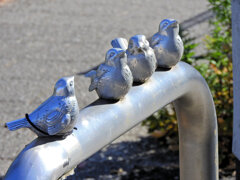 寒風にさらされて((´д｀)) ぶるぶる・・・さむ~~　２