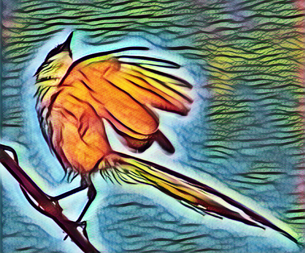 オナガ・・レタッチ加工でお遊び　３