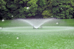 等々力緑地公園・・釣り堀池の・・・噴水　レタッチ加工・・・バブル