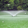 等々力緑地公園・・釣り堀池の・・・噴水　レタッチ加工・・・バブル