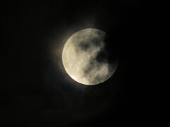 今宵のお月様・ビーバーMoon２