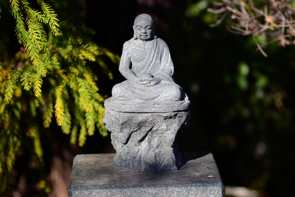 近所のお寺の参道にて・・・１４