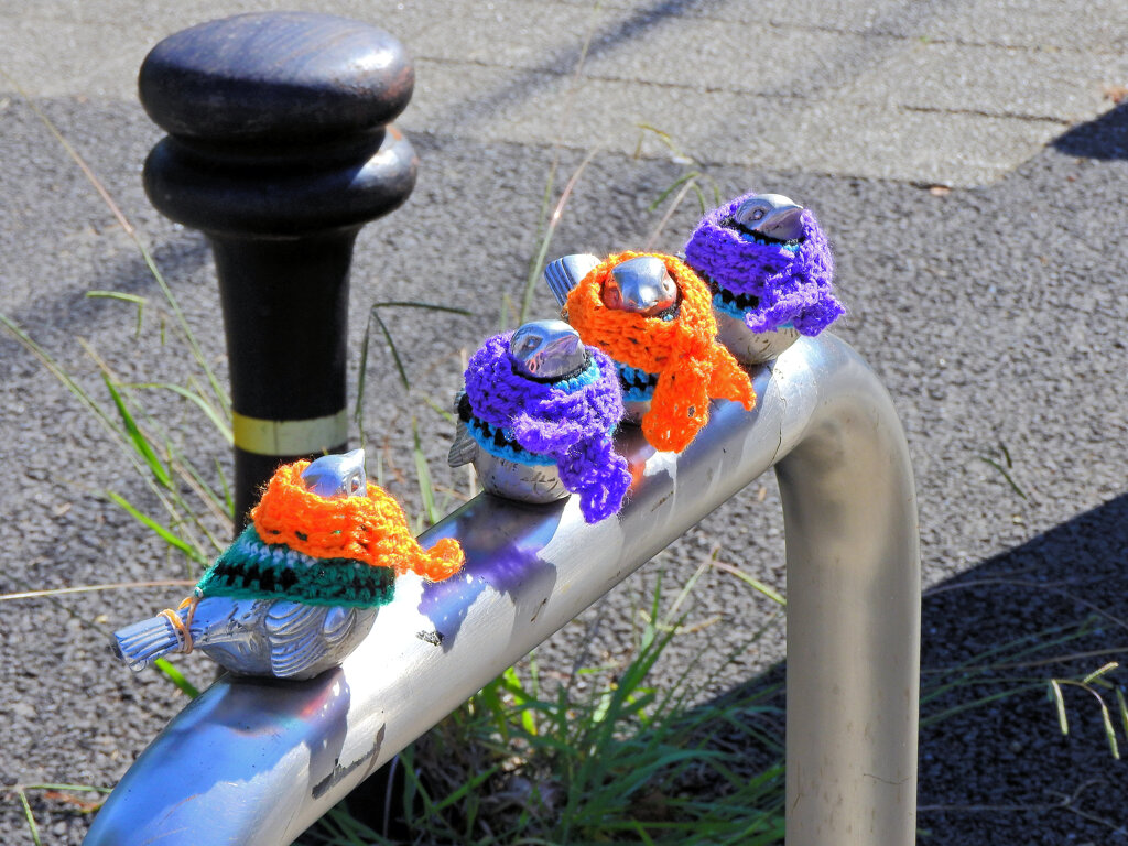 木枯らし1号が吹いたと聞いて・・服を着ました４