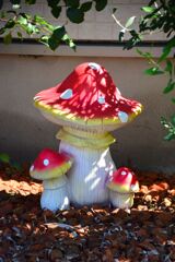 美味しそうなキノコ　２