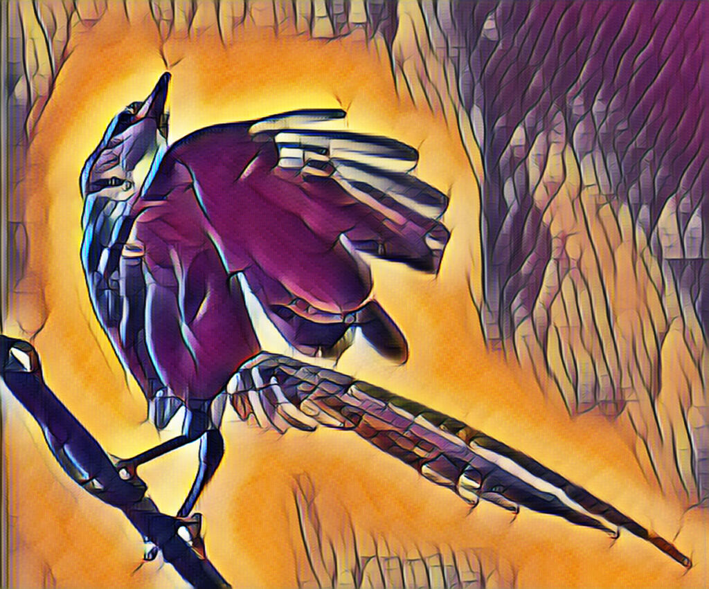 オナガ・・レタッチ加工でお遊び　７