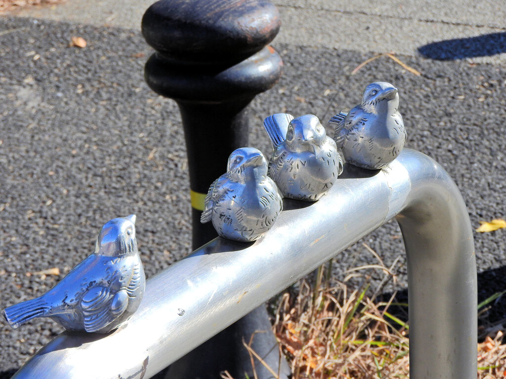 寒風にさらされて((´д｀)) ぶるぶる・・・さむ~~　３