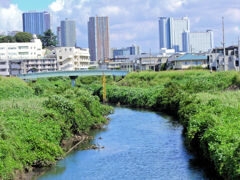 矢上川の風景　１