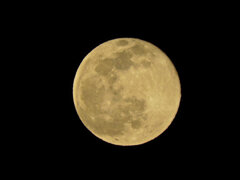 今宵のお月様　2022:01:18 18:41:57