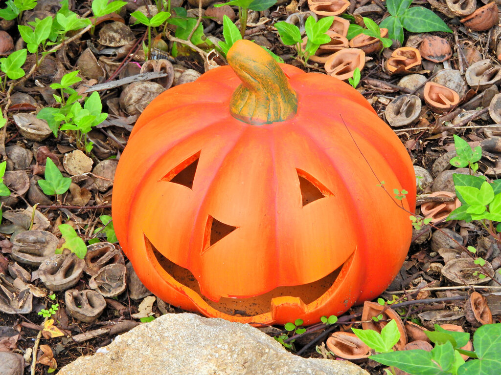 ハロウイン　グッツ　Shopの玄関で　４