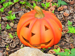 ハロウイン　グッツ　Shopの玄関で　４