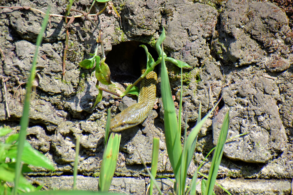ヘビーにつき閲覧注意！　