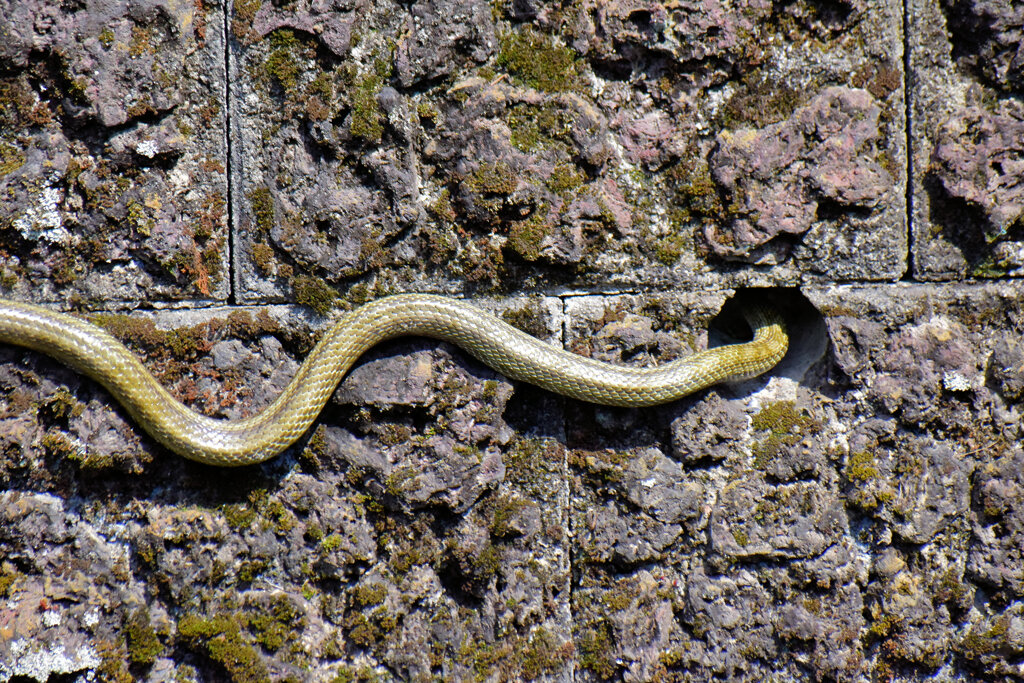 ヘビーにつき閲覧注意！　
