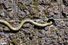 ヘビーにつき閲覧注意！　