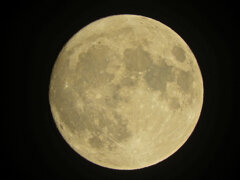 ブルースーパームーン５