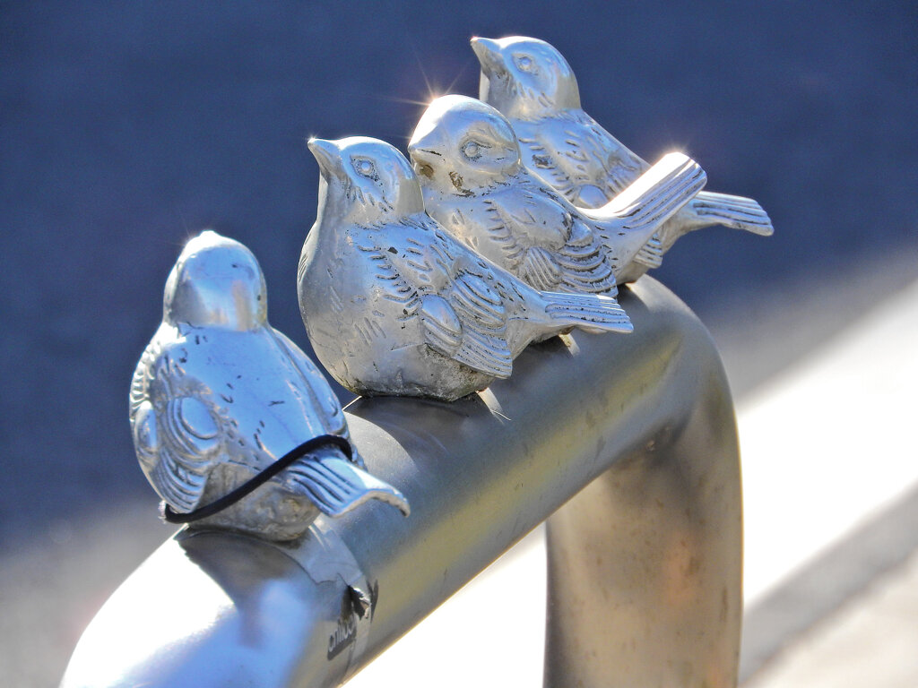 寒風にさらされて((´д｀)) ぶるぶる・・・さむ~~　６